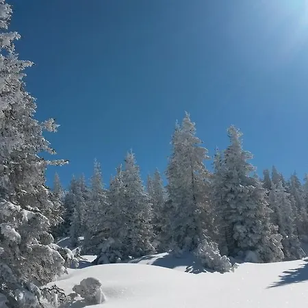 Sonnenhaus Sander Schruns