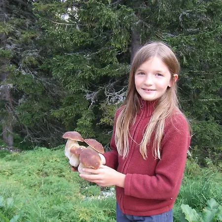 شقة Sonnenhaus Sander