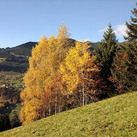 Sonnenhaus Sander Schruns