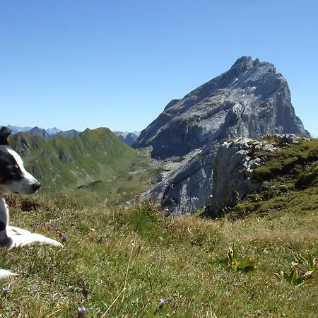 شقة Sonnenhaus Sander