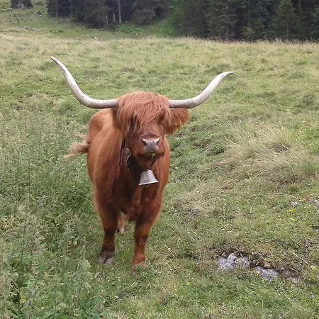 Sonnenhaus Sander * شرنز