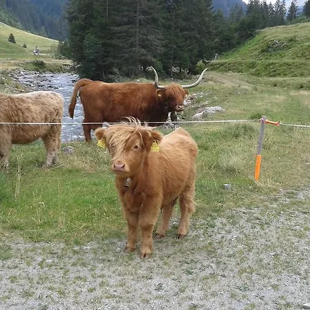 Apartment Sonnenhaus Sander Schruns