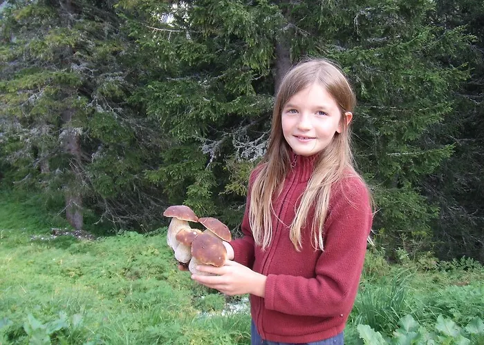 Apartment Sonnenhaus Sander