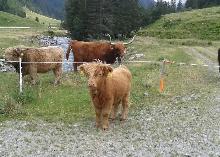 Appartement Sonnenhaus Sander Schruns